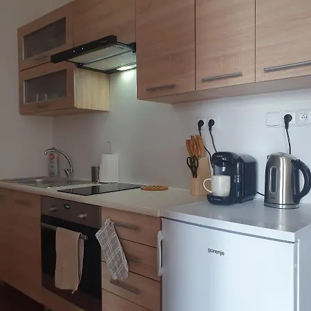 Apartmán S Wellness *